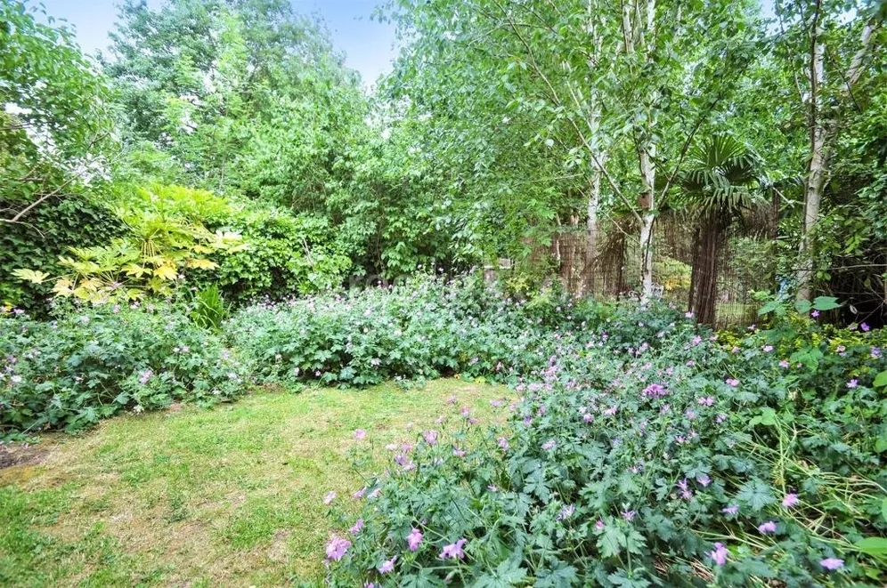Stapleton Hall Road London N4 photo 6
