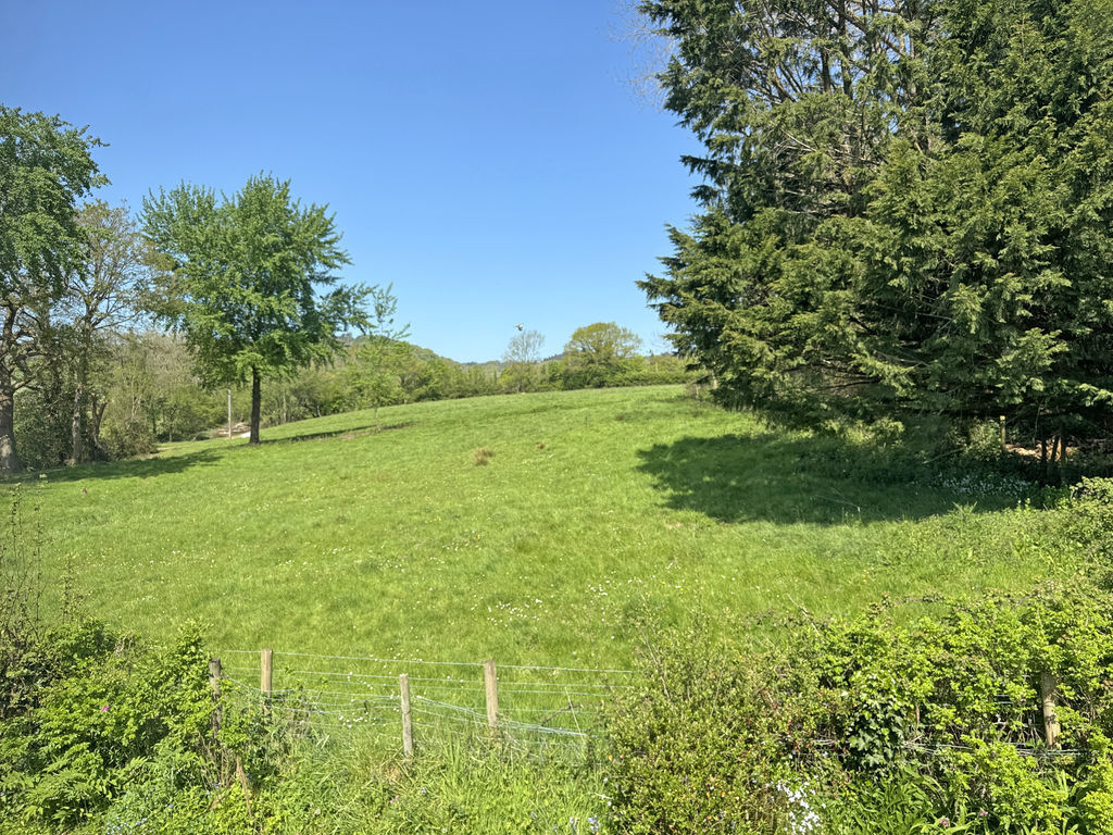 Ridgeway Close, Sidbury Image 9