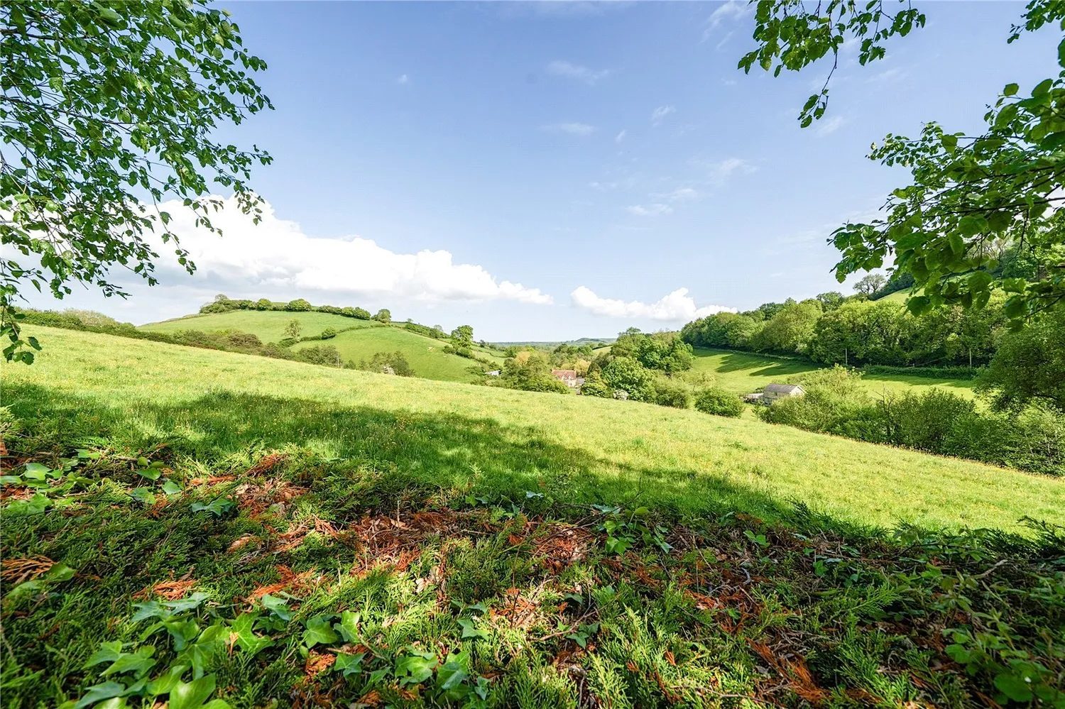 West Milton, Bridport, DT6 photo 2