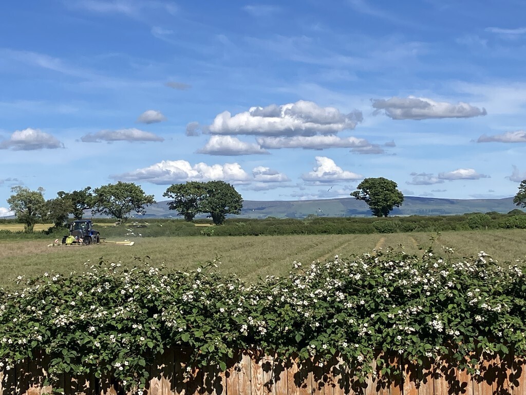 Durdar Road, Carlisle Image 25