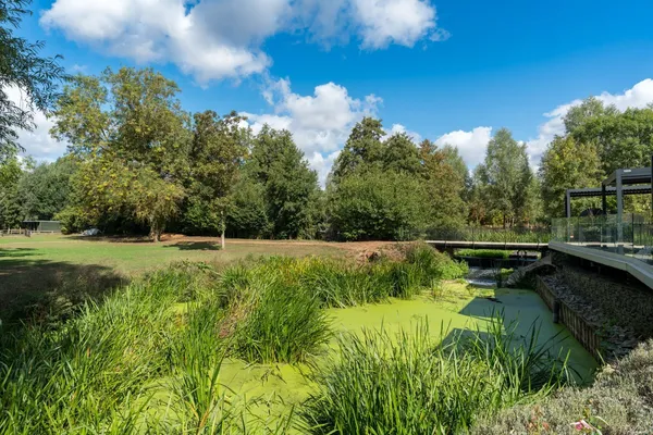 Spring Lane, Lexden Bridge Hamlet, CO3 photo 47