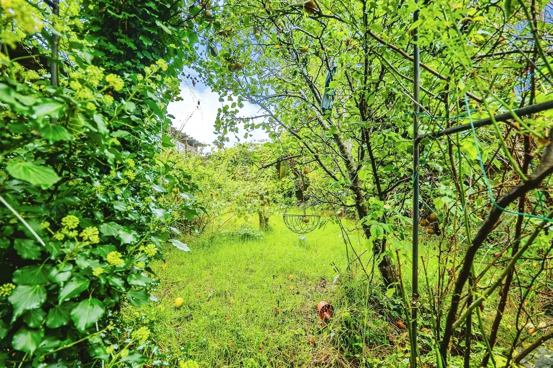 Property photo 24