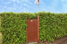 Spring Rise, Galleywood, CHELMSFORD