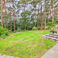 Property 29