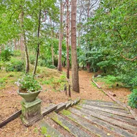 Property 31