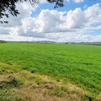 Property 22