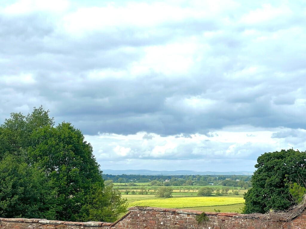 Aglionby, Carlisle Image 19