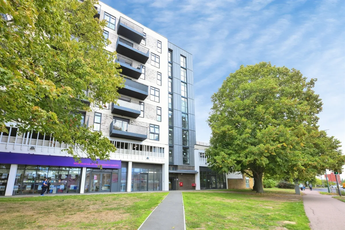 Wych Elm, Harlow