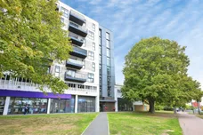 Wych Elm, Harlow