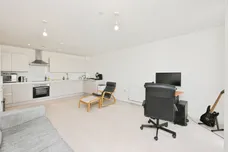 Wych Elm, Harlow
