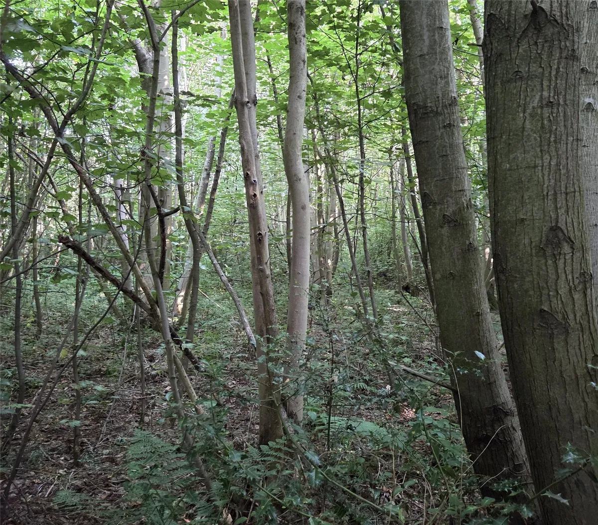 Whitepost Lane, Meopham, Gravesend, Kent, DA13