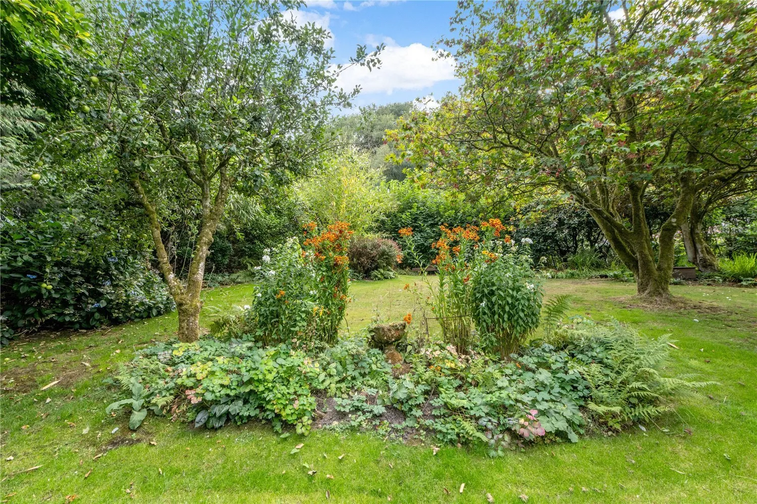 Gutch Common, Shaftesbury, SP7 photo 5