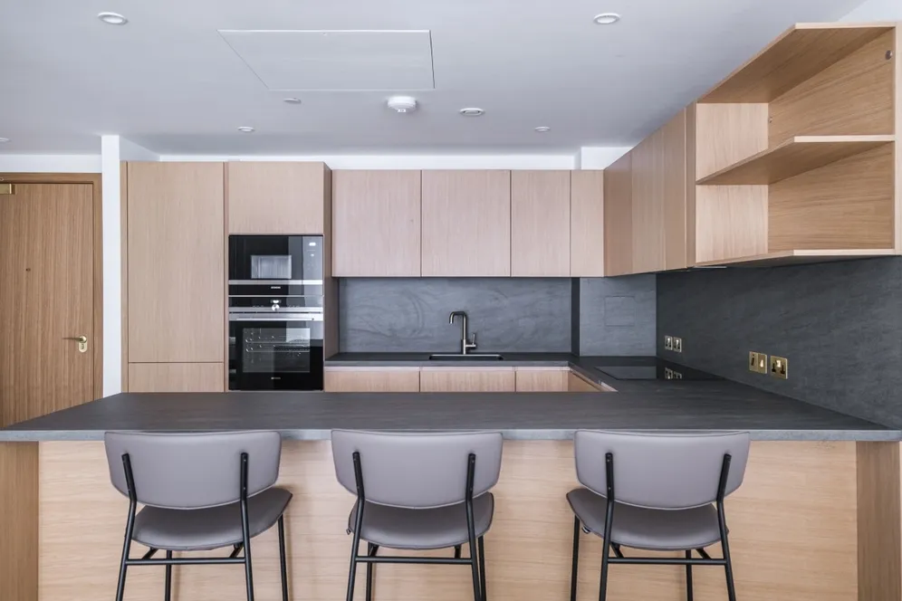 Enclave KX, 101 Camley Street, London, NW1 photo 12