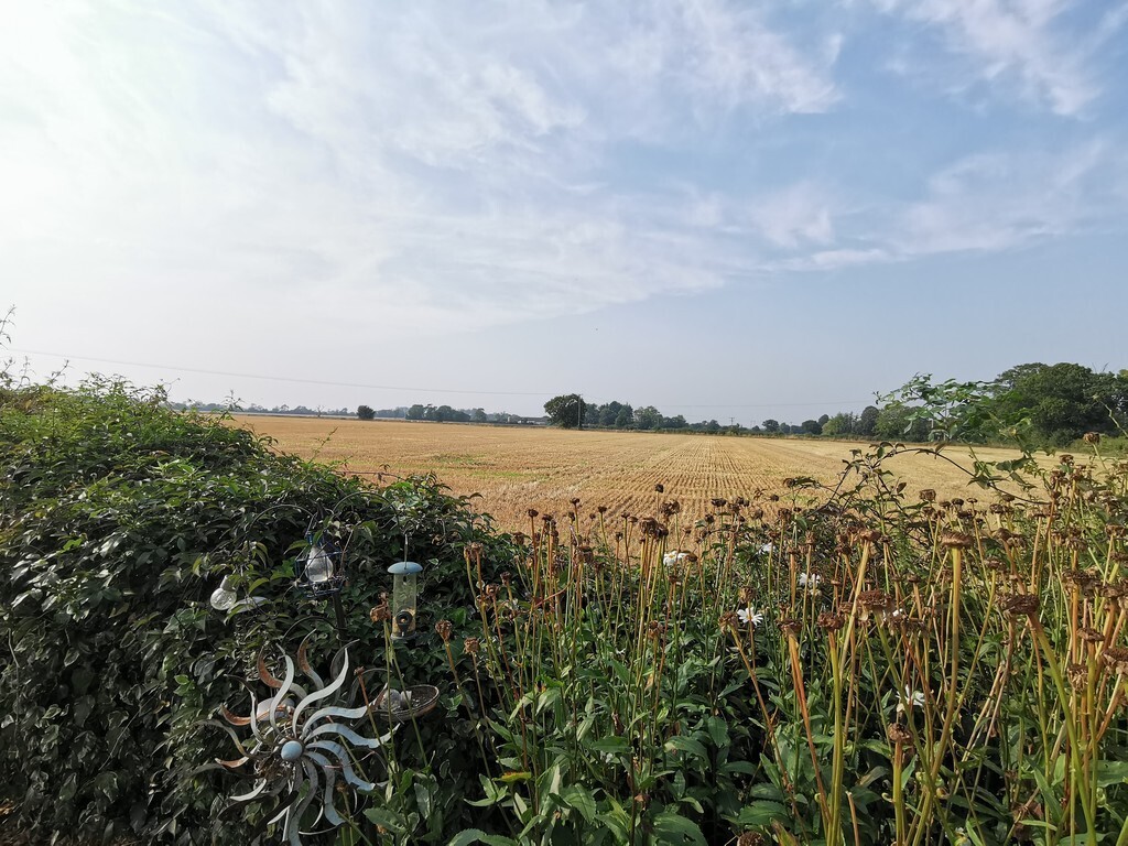 Halesworth Road, Spexhall, Halesworth Image 17