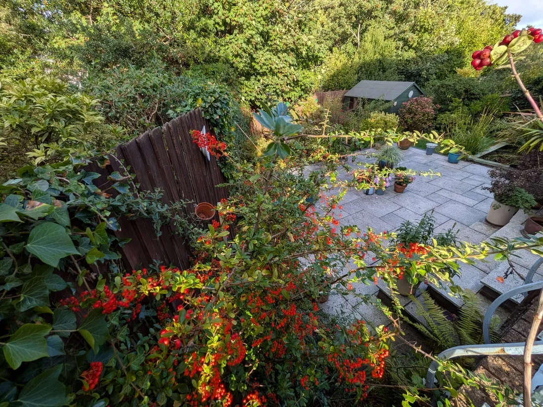 Property photo 28
