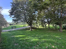 Chamberlain Fields, Littleport, ELY thumb 2