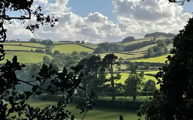 Bathealton