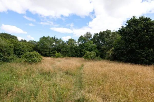 Over Stratton, South Petherton, TA13 photo 24