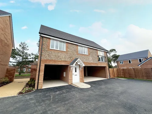 Snowdrop Road, Lakenheathphoto