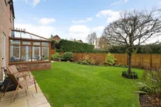 Cherry Lane Bearley CV37 photo 17
