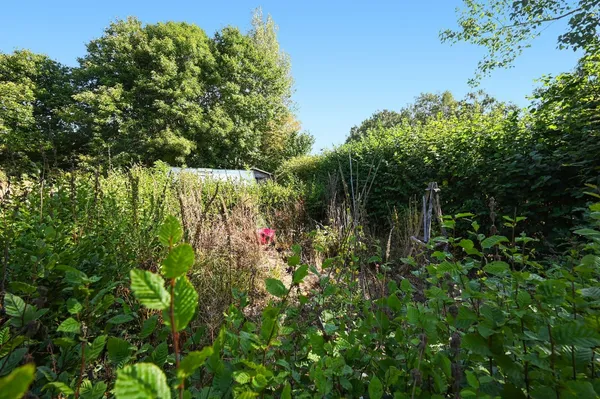 Cornwells Bank, Newick, BN8 photo 11