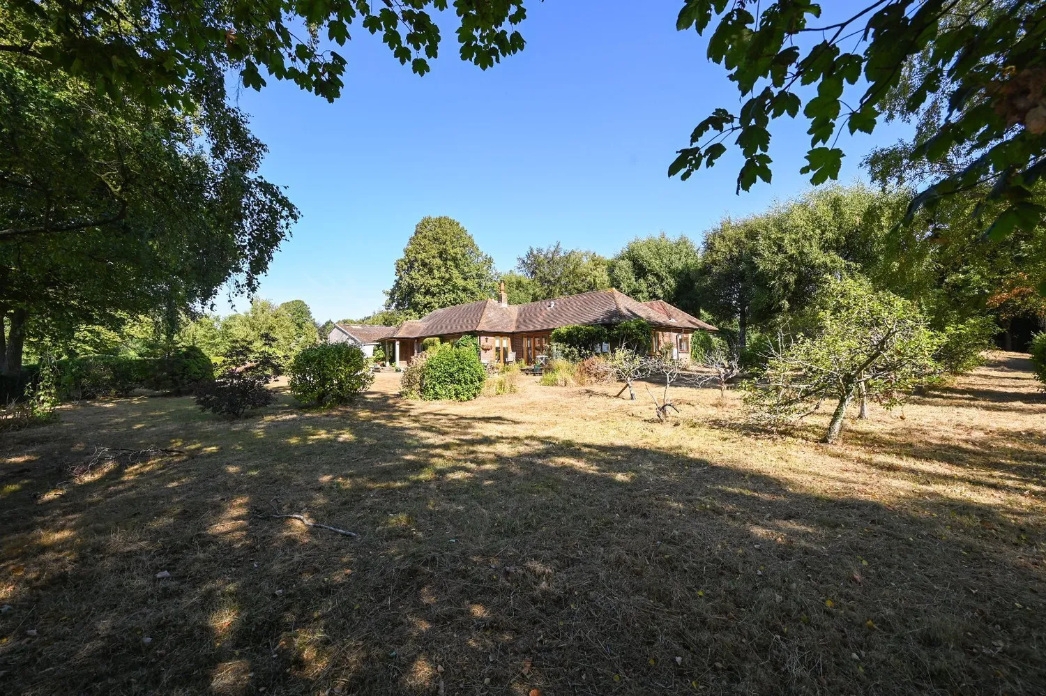 Cornwells Bank, Newick, BN8 photo 12