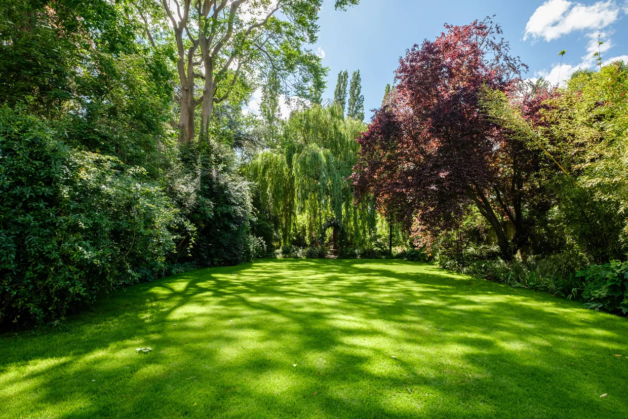 Coolhurst Road, London, N8 photo 16