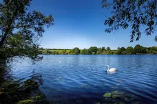 Mendham Lane, Harleston