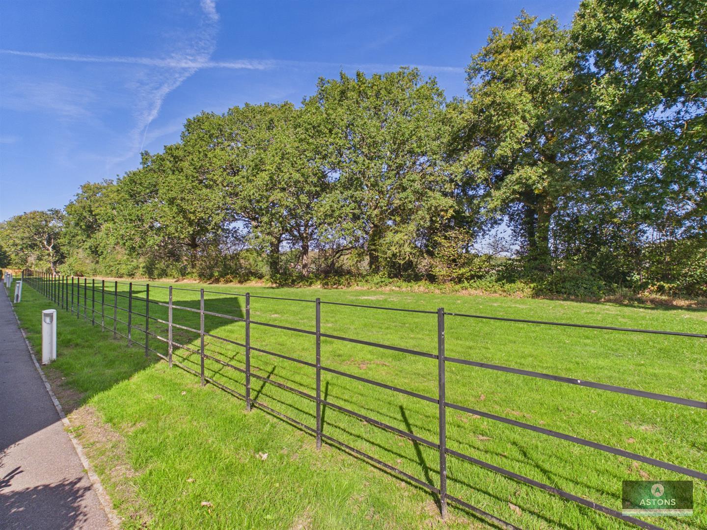 Daffodil Crescent, Forge Wood Image 14