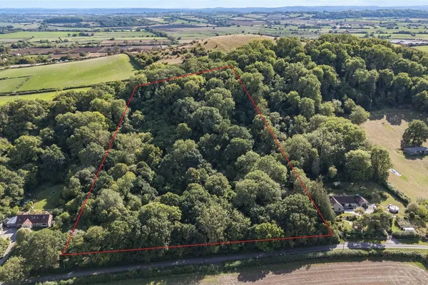 Agent's photo: 5.3-acre woodland in Compton Dundon