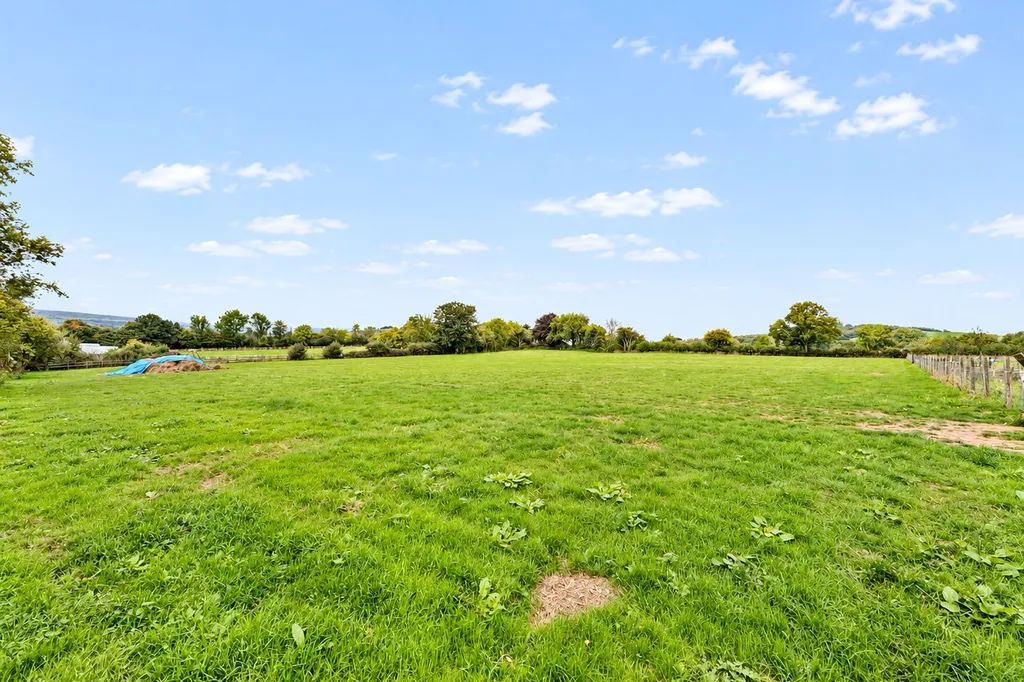 Agent's photo: 4.7-acre land in Totnes