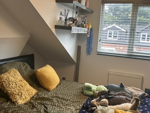 249 TIVERTON ROAD Image 5