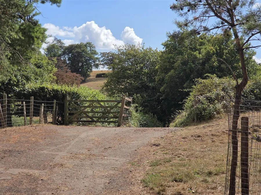Property Image 34
