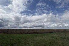 Days Lode Road, Fodder Fen, MARCH