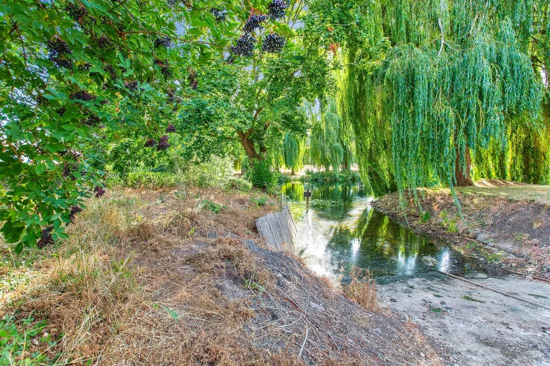 Property photo 19