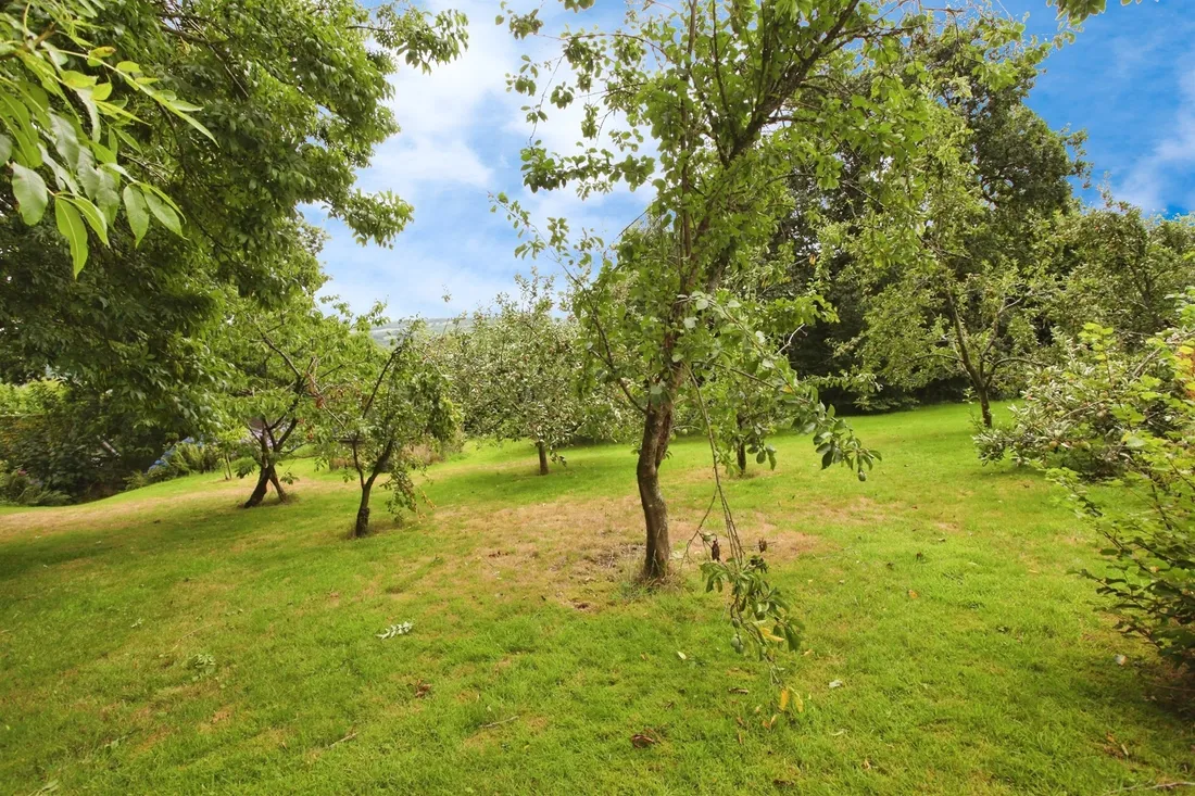 Property photo 23