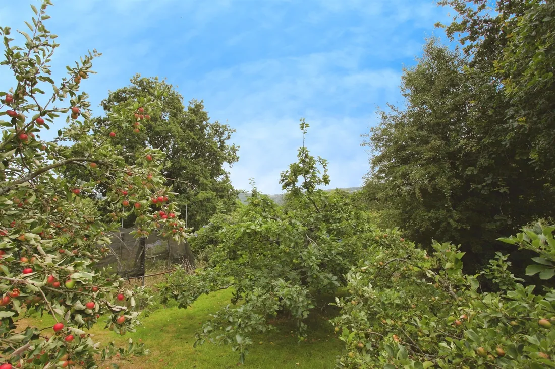 Property photo 32