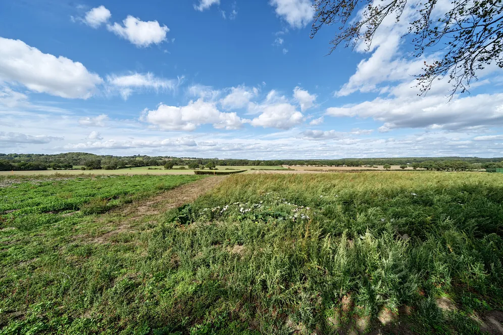 Forge Road, Kingsley, GU35 photo 9