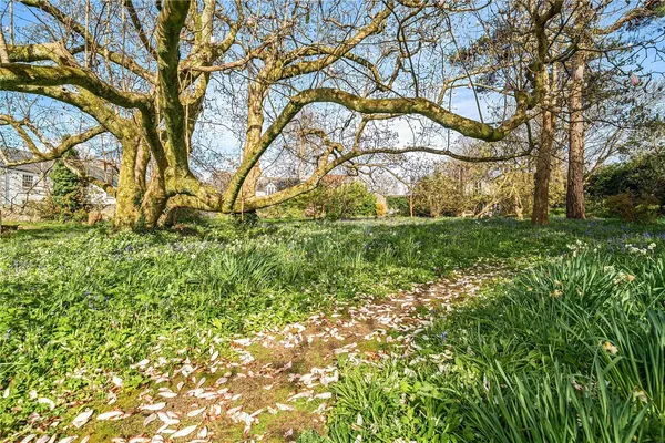 Holman Park, Camborne, TR14 photo 11