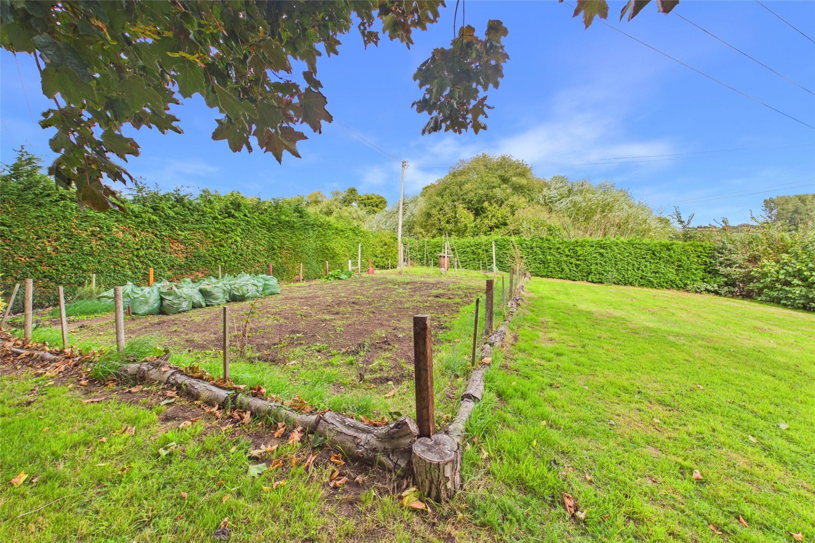 Tretire, St. Owens Cross, Hereford, Herefordshire, HR2 Image 12