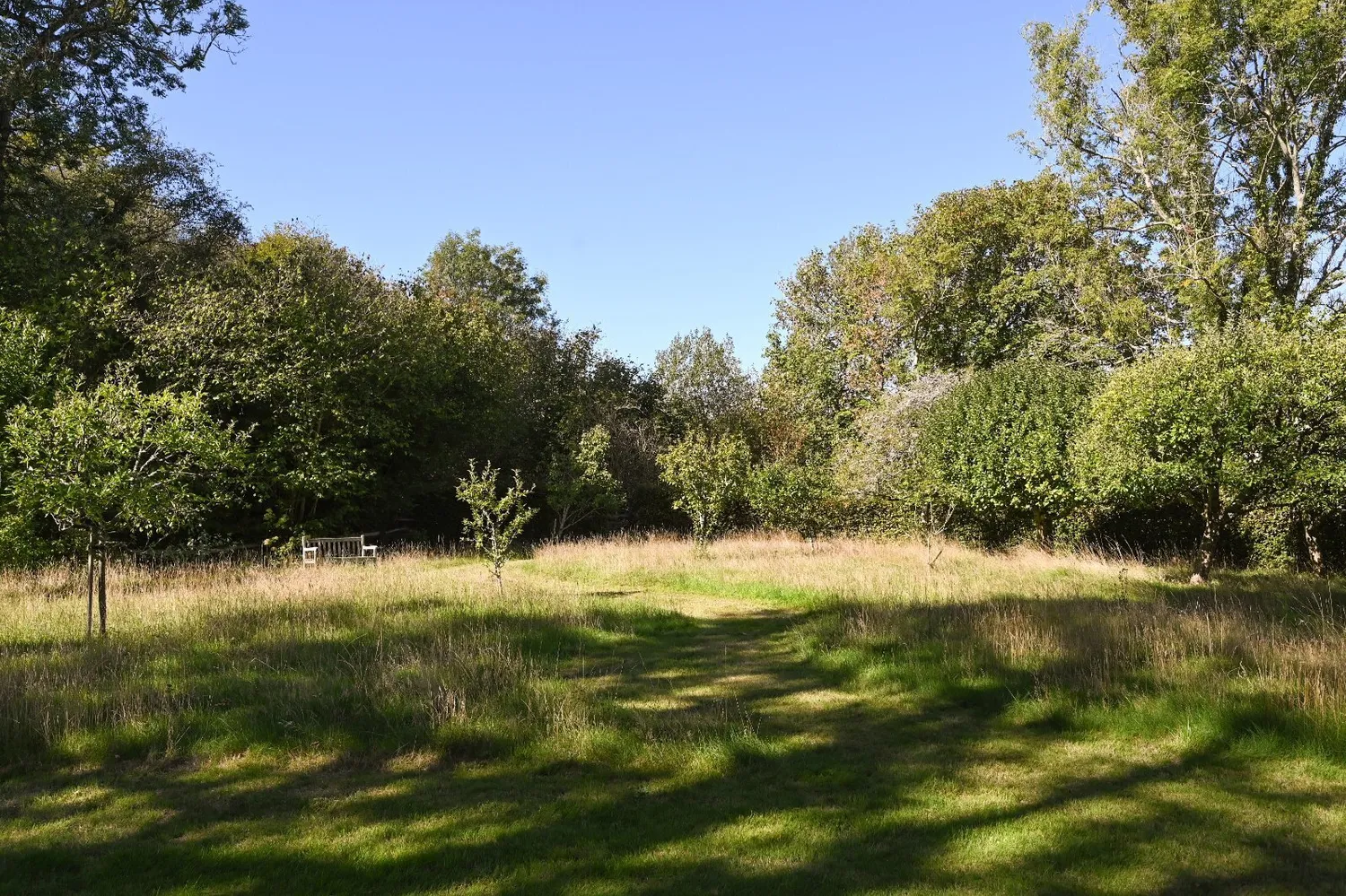Ketches Lane, Sheffield Park, TN22 photo 22