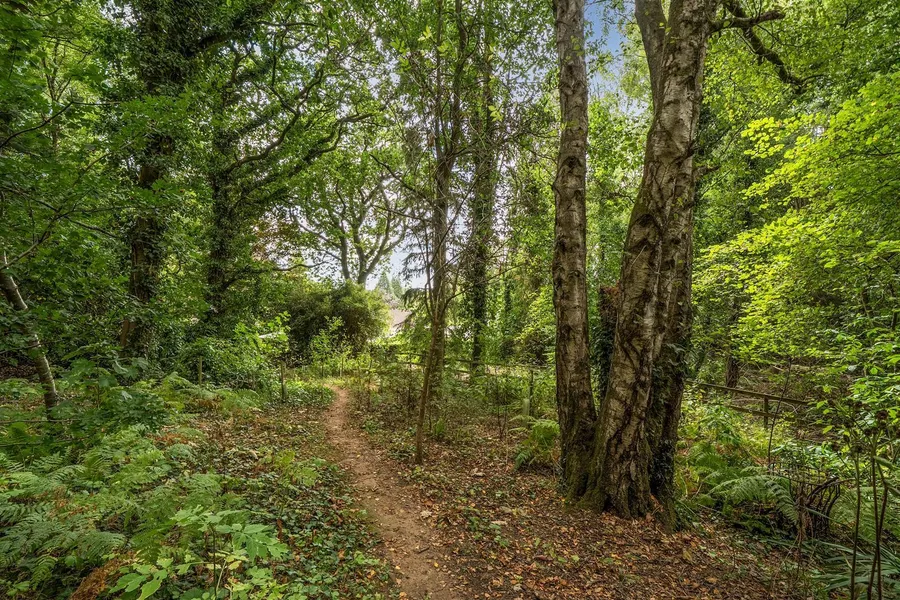 Property Image 22
