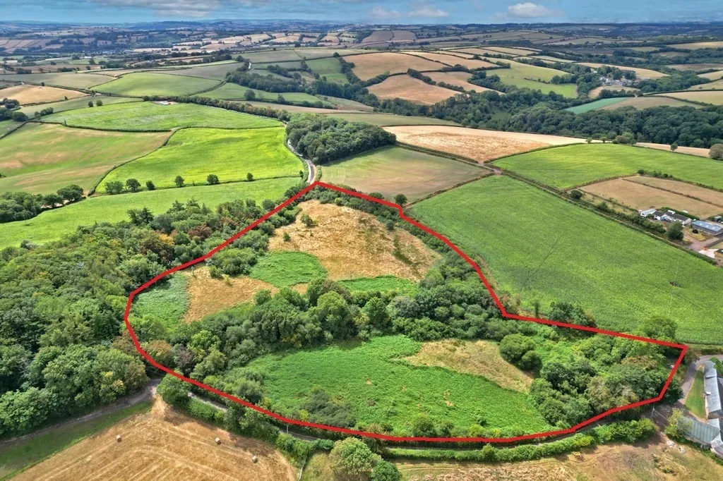 Agent's photo: Land in Tiverton