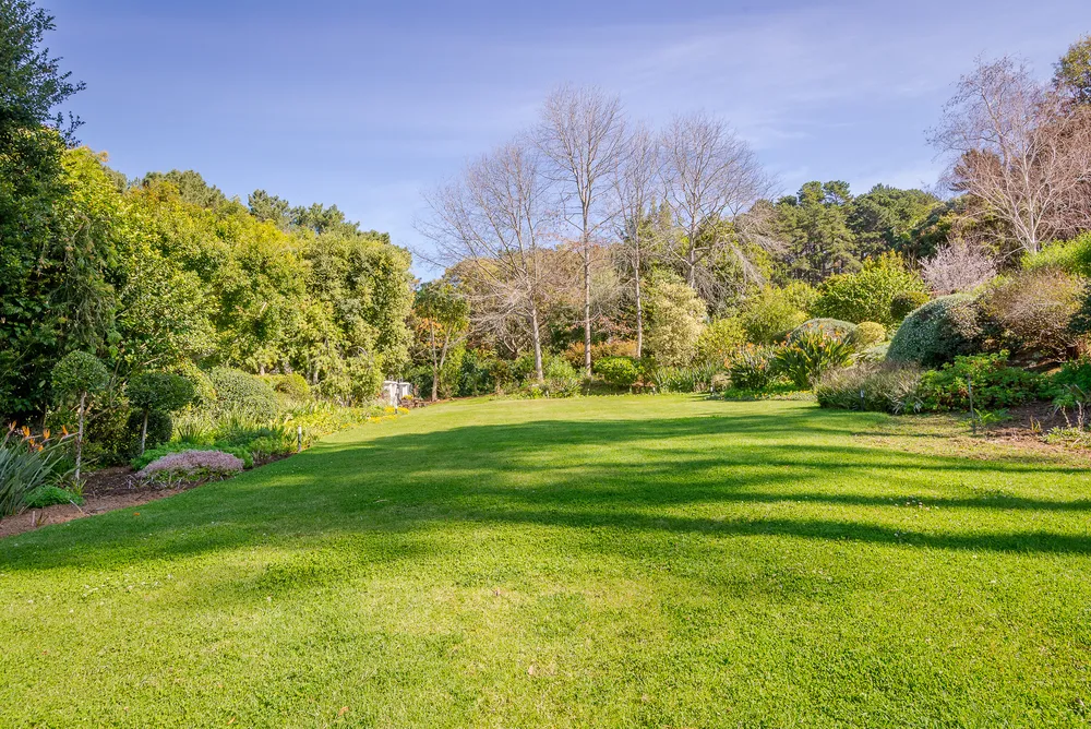 South Africa, Western Cape, Constantia