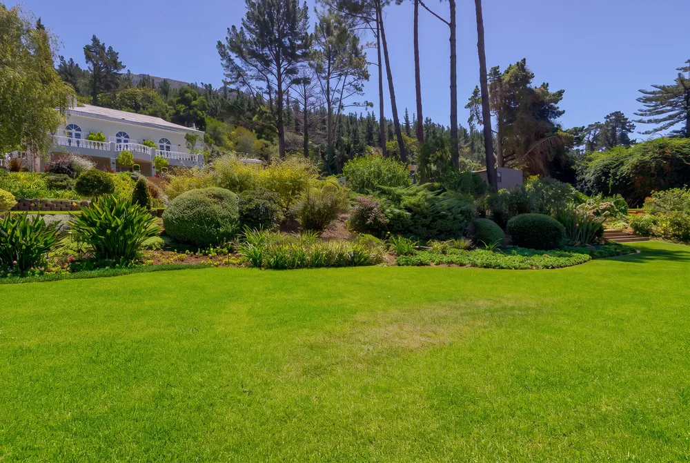 South Africa, Western Cape, Constantia
