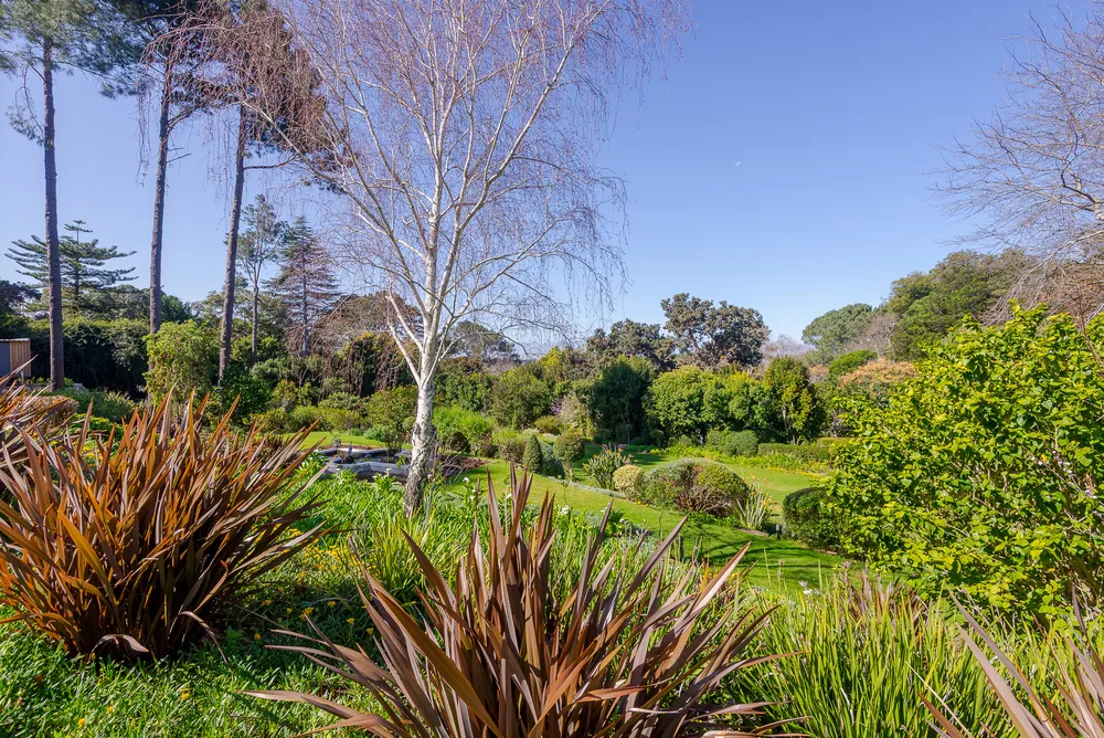 South Africa, Western Cape, Constantia