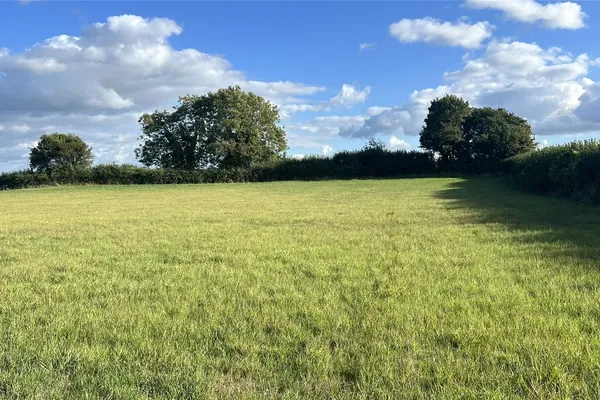 Agent's photo: 2-acre farmland in Regil
