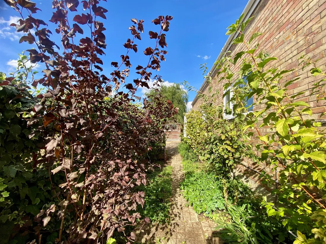 Property photo 18