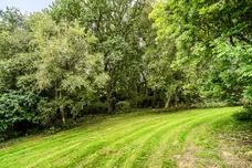 The Warren, Mayfield, TN20 photo 17