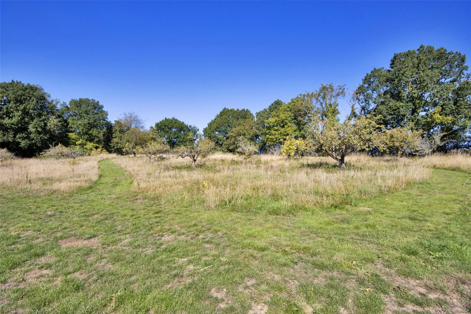 Elmstone Hole Road, Maidstone, ME17 photo 12